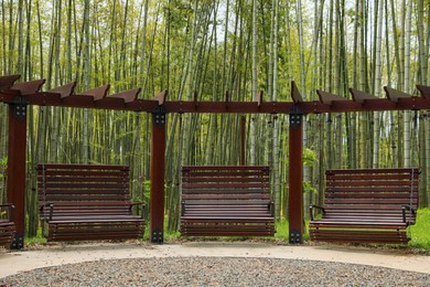 Photo of Beautiful brown swing set and bamboo in tranquil park