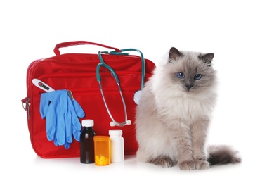 Photo of First aid kit and cute cat on white background. Animal care