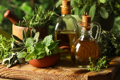 Different fresh herbs with oils on wooden board