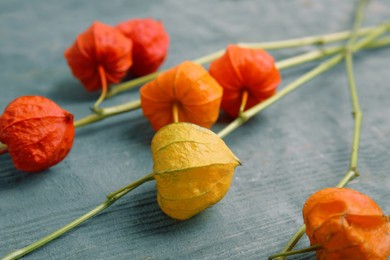 Physalis branches with colorful sepals on blue wooden table, closeup