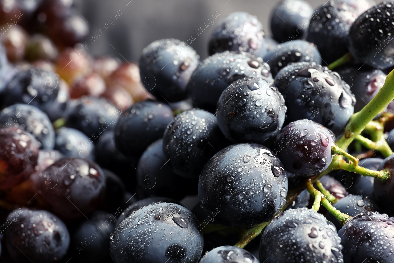 Photo of Bunch of fresh ripe juicy grapes as background. Closeup view