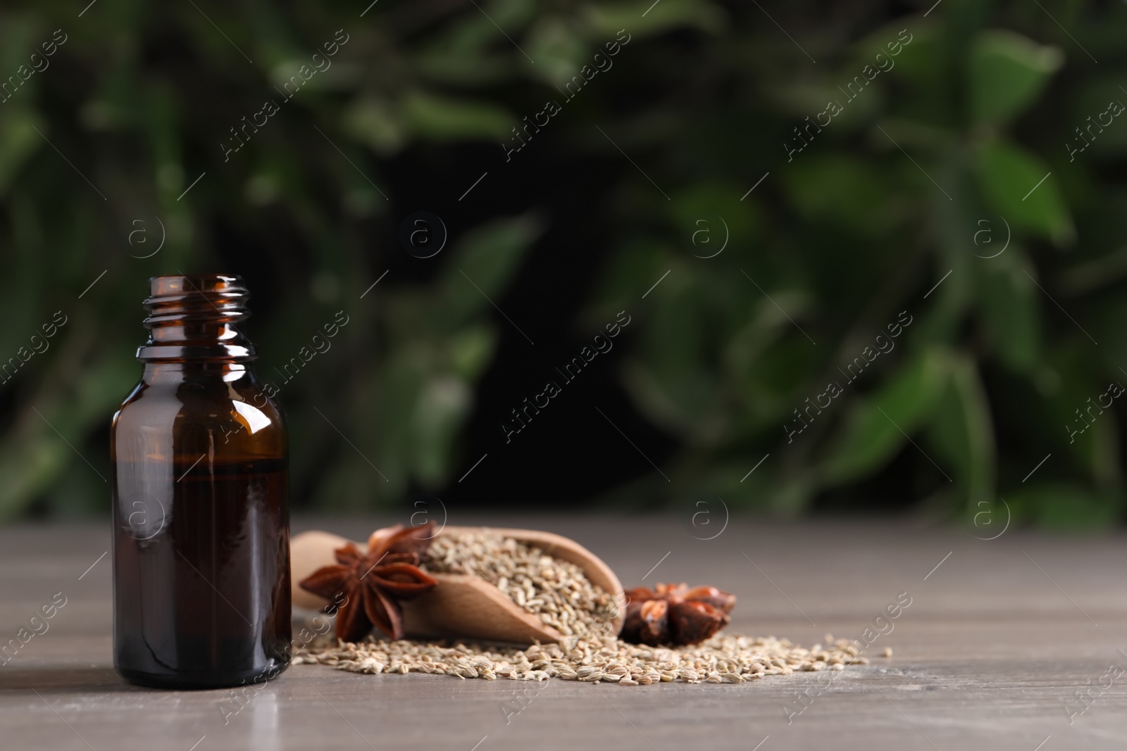 Photo of Anise essential oil and spice on table, space for text