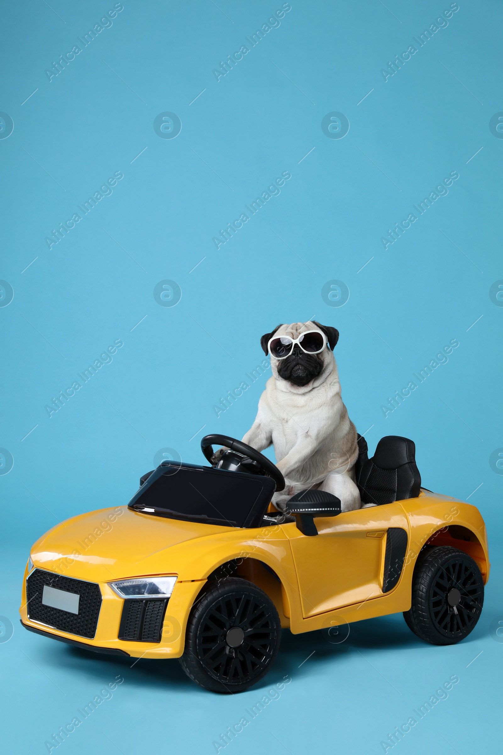 Photo of Funny pug dog with sunglasses in toy car on light blue background