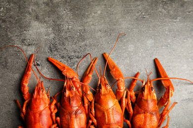 Photo of Delicious boiled crayfishes on grey table, flat lay. Space for text