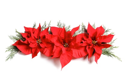 Flat lay composition with poinsettia and space for text on white background. Traditional Christmas flower