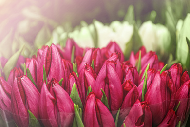 Image of Fresh bouquet of beautiful tulip flowers, closeup