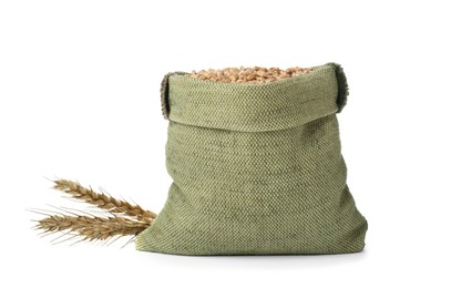 Photo of Sack with wheat grains and spikes on white background