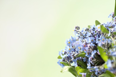 Beautiful forget-me-not flowers against blurred green background, closeup. Space for text