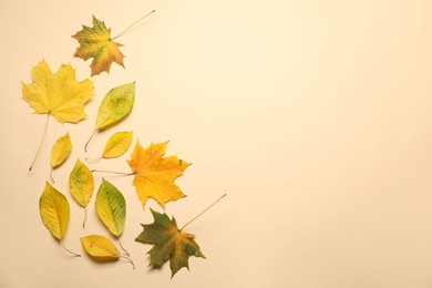 Beautiful autumn leaves on beige background, flat lay. Space for text