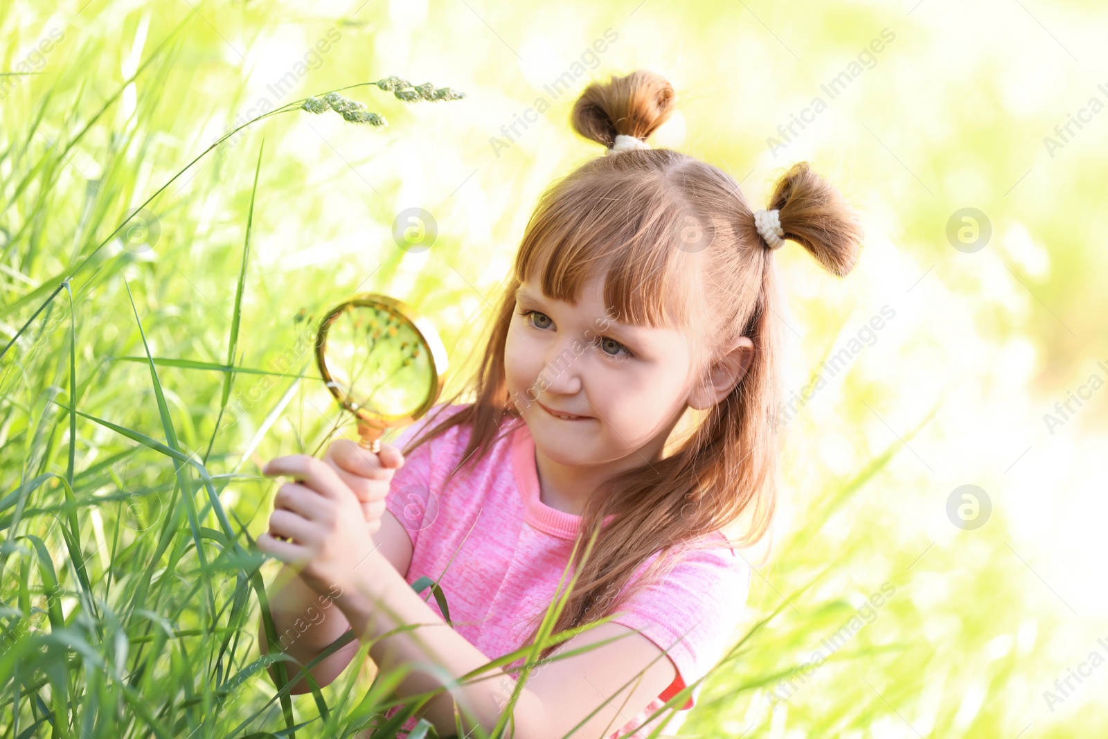 Photo of Little girl exploring plant outdoors. Summer camp