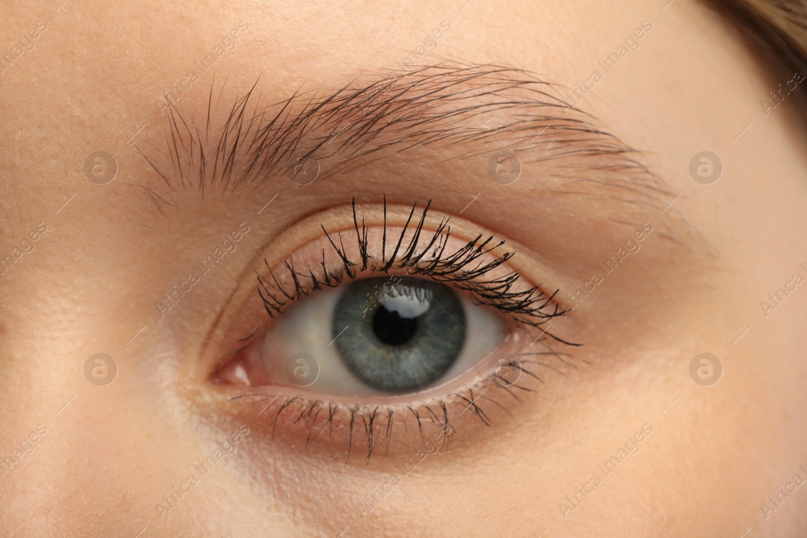 Photo of Woman with long eyelashes after mascara applying, closeup