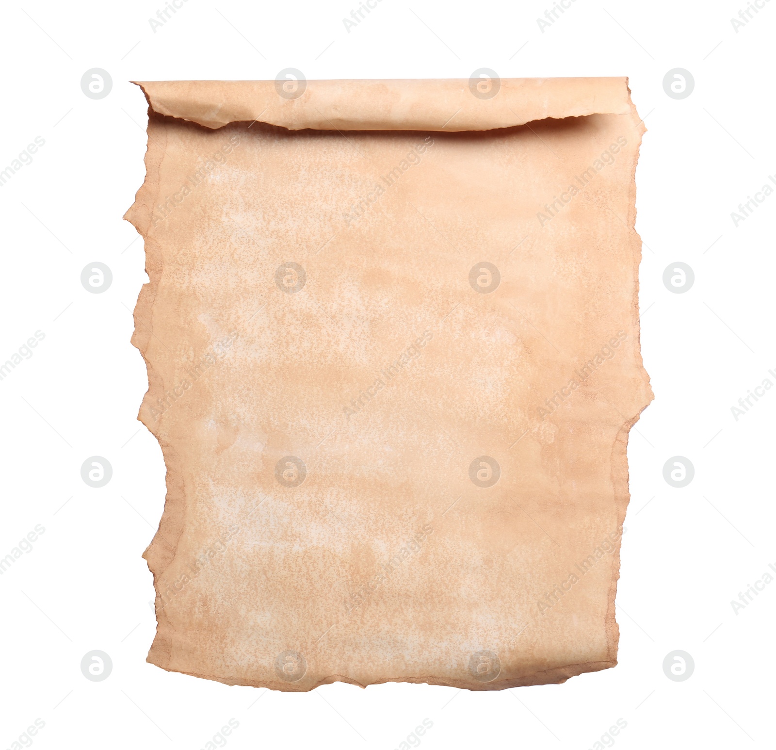 Photo of Blank sheet of old parchment paper on white background, top view