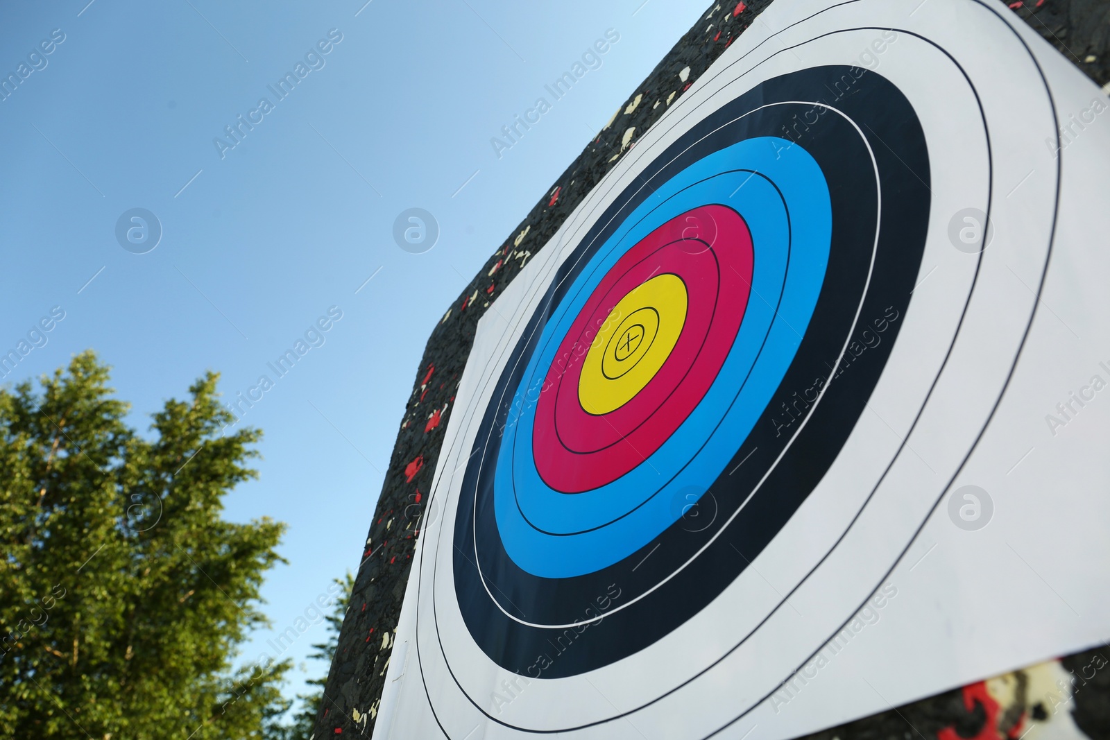 Photo of Archery target outdoors on summer day, closeup