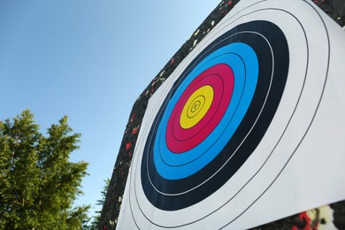 Archery target outdoors on summer day, closeup
