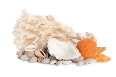Photo of Beautiful exotic sea coral, shells and pebbles on white background