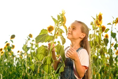Photo of Cute little girl sniffing sunflower outdoors. Child spending time in nature