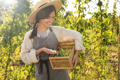 Woman holding white beans and wooden crate in garden
