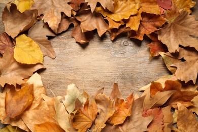 Beautiful composition with autumn leaves on wooden background, top view. Space for text