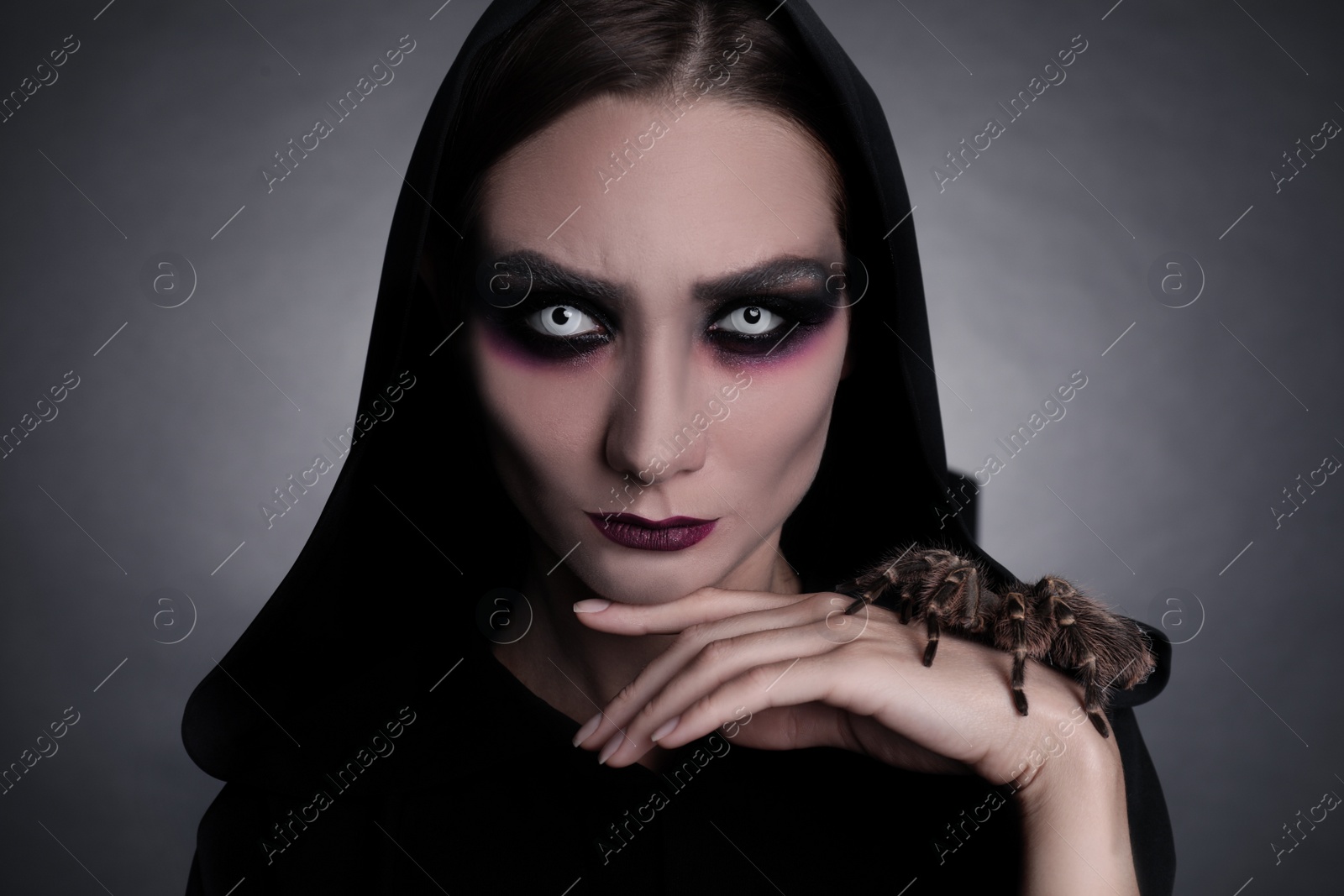 Photo of Mysterious witch with spooky spider on dark background