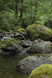 Picturesque view of mountain river, stones and green plants in forest