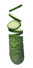 Image of Cut fresh ripe cucumber on white background. Vertical banner design