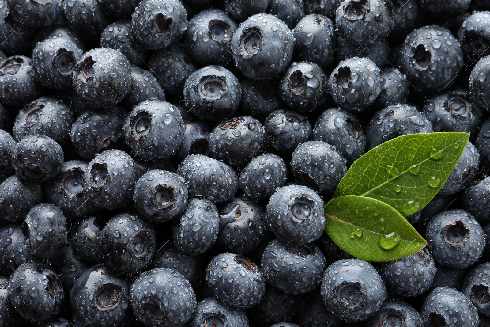 Photo of Wet fresh blueberries with green leaves as background, top view