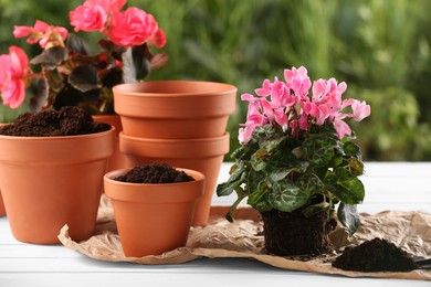 Photo of Beautiful flowers and pots with soil on white wooden table outdoors