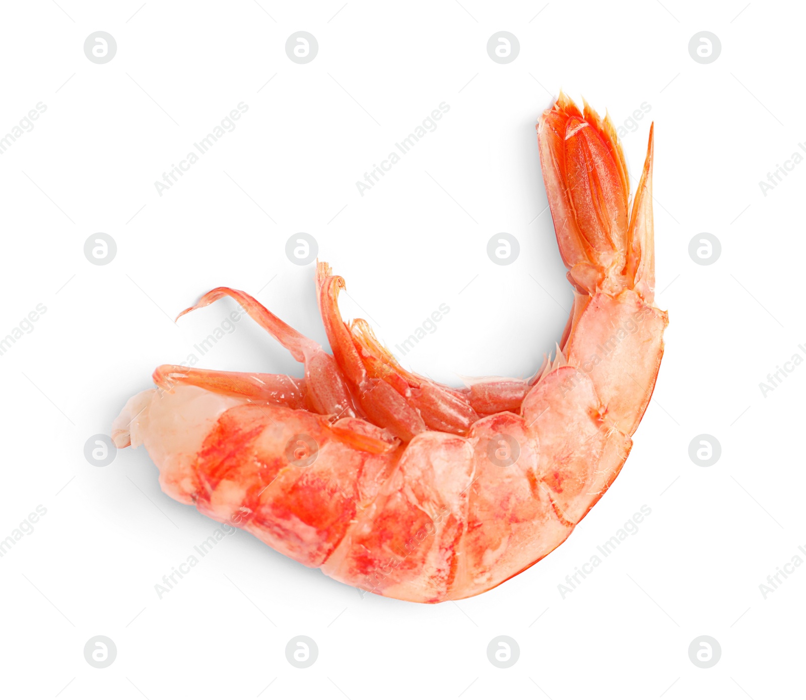 Photo of Fresh shrimp on white background