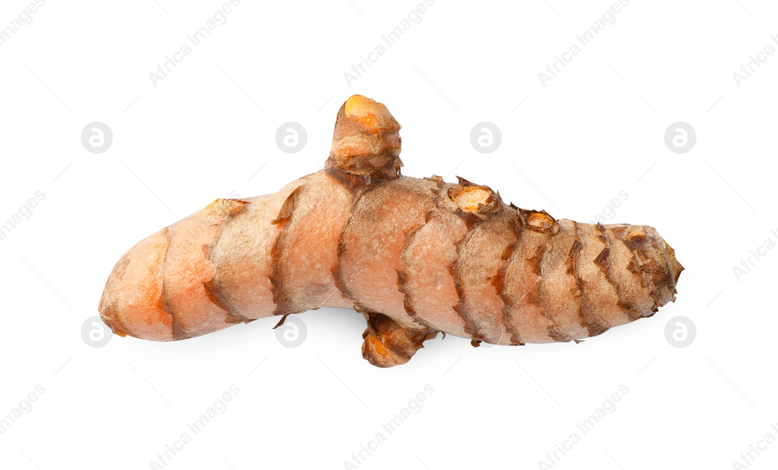 Photo of One fresh turmeric root isolated on white, top view