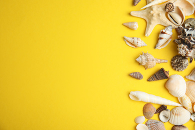 Different beautiful sea shells on yellow background, flat lay. Space for text