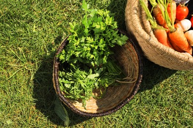 Photo of Different tasty vegetables and herbs in wicker baskets on green grass outdoors, above view