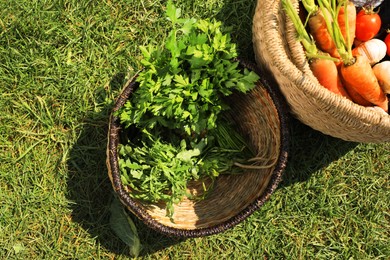 Different tasty vegetables and herbs in wicker baskets on green grass outdoors, above view