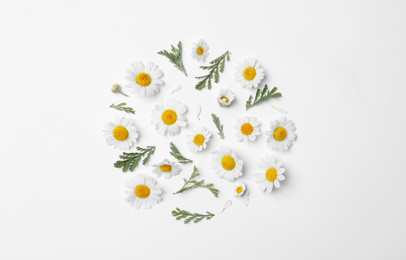 Photo of Flat lay composition with fresh chamomiles on white background