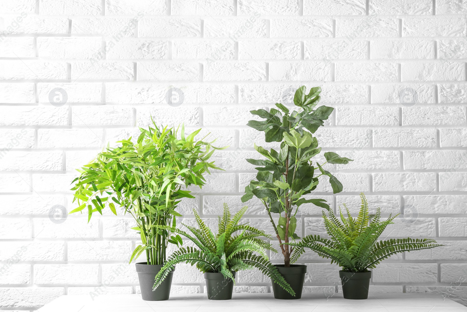 Photo of Potted plants on table near brick wall. Interior decor