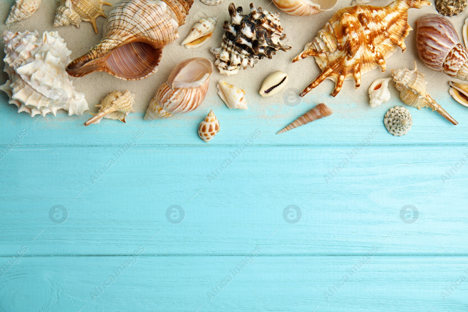 Photo of Different sea shells and sand on light blue wooden table, flat lay. Space for text