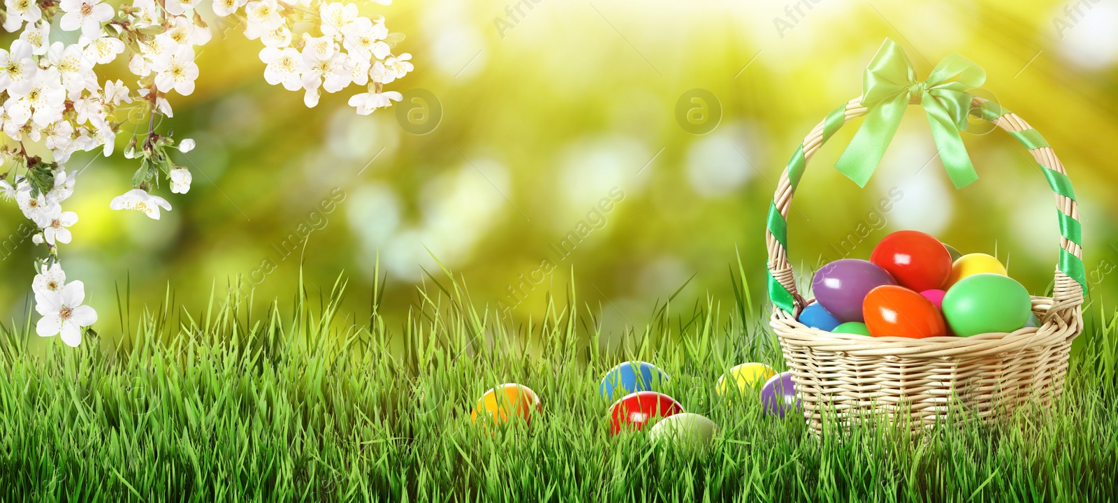 Image of Wicker basket with Easter eggs on green grass outdoors, space for text. Banner design