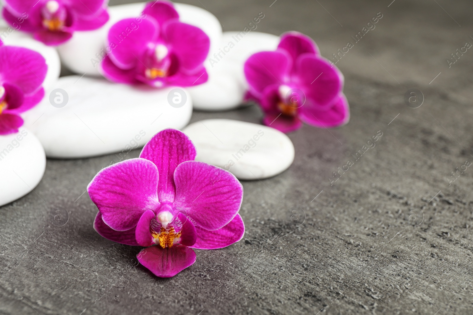 Photo of White spa stones and orchid flowers on grey background