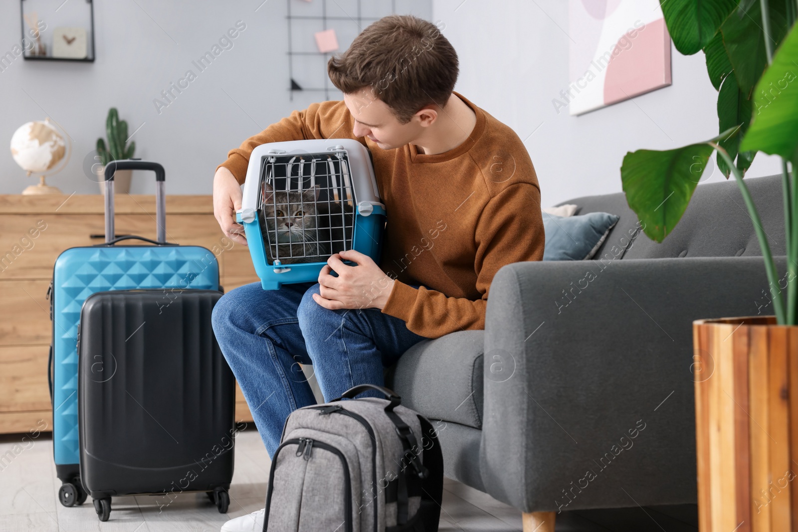 Photo of Travel with pet. Man holding carrier with cute cat on sofa at home