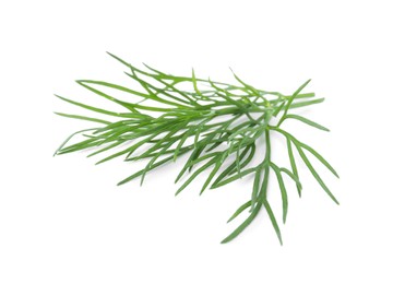 Photo of Sprigs of fresh dill isolated on white