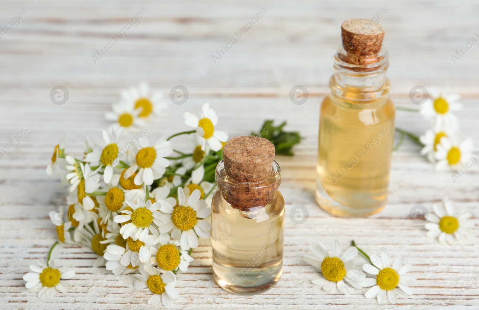 Photo of Bottles of essential oil and chamomiles on white wooden table