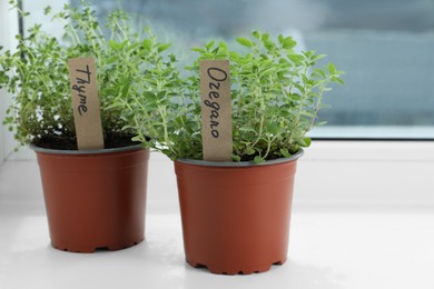 Different fresh potted herbs on windowsill indoors. Space for text