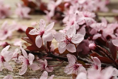 Photo of Spring branch with beautiful blossoms and leaves on wooden table, closeup