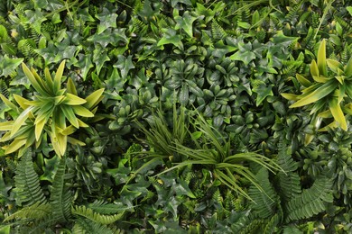 Photo of Green artificial plants as background, top view