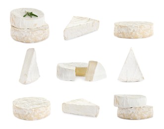 Image of Set with delicious brie and camambert cheeses on white background