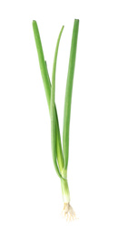 Fresh green spring onion isolated on white