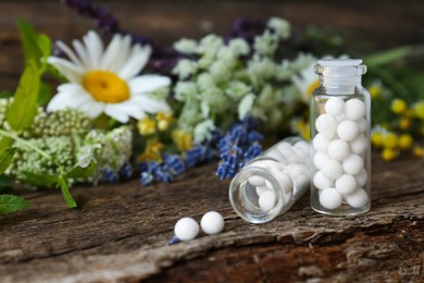 Photo of Bottles with homeopathic remedy and flowers on wooden table, space for text
