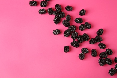 Flat lay composition with ripe blackberries on pink background. Space for text