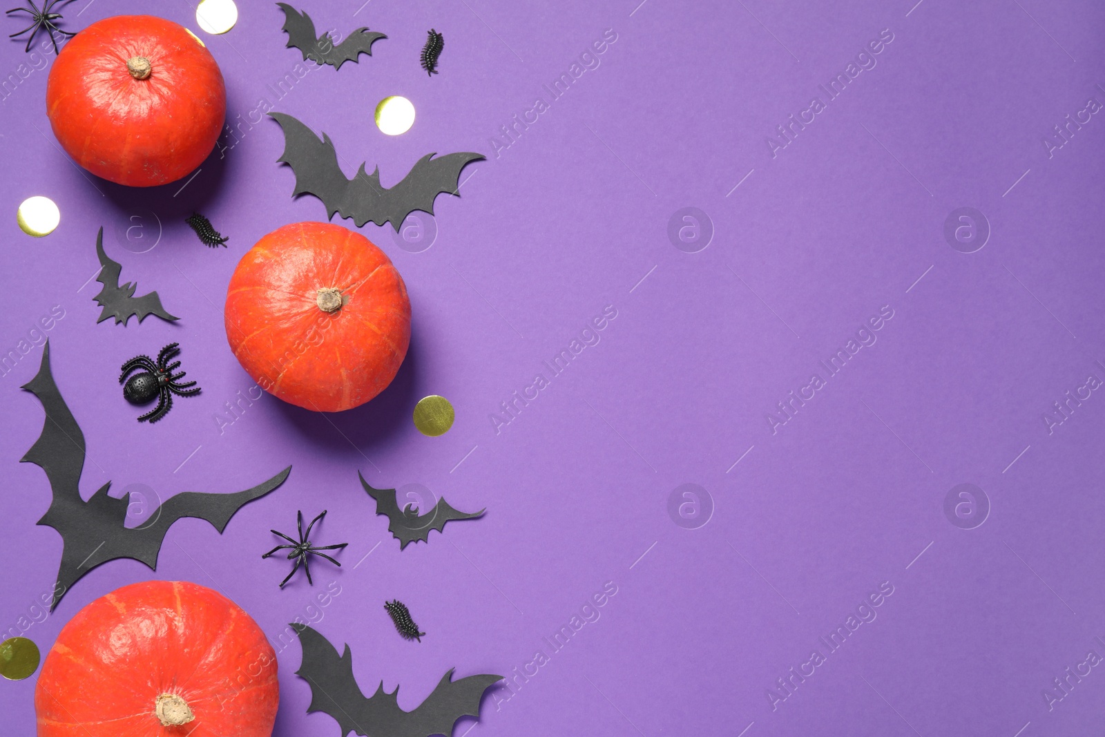 Photo of Flat lay composition with pumpkins, paper bats and spiders on purple background, space for text. Halloween decor