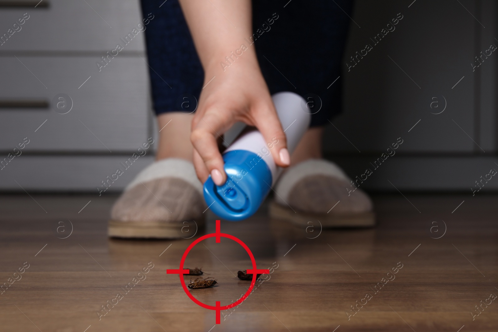 Image of Woman spraying insecticide onto cockroaches, closeup. Pest control