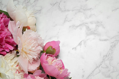 Photo of Beautiful peonies on white marble background, flat lay. Space for text